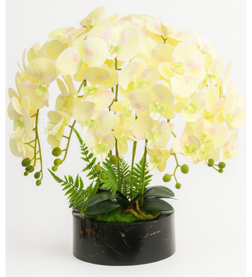 Żółty storczyk orchidea Premium 6 pędów 65 cm K119