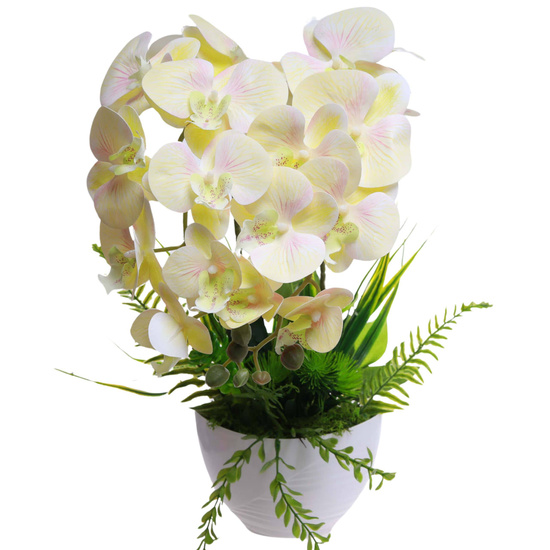 Żółty storczyk orchidea Kompozycja kwiatowa 2 Pędowy 50 cm KOMp87 S340