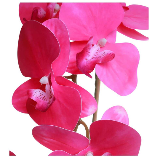 Fuksjowy storczyk orchidea Kompozycja kwiatowa 1 Pęd 55 cm KOMp68 S240