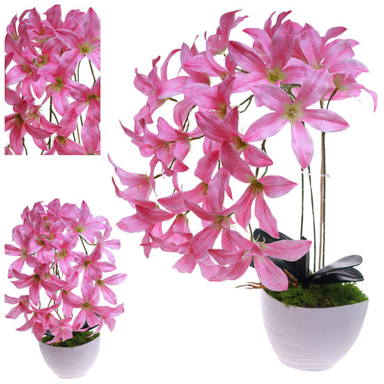 Różowy storczyk Cybidium Kompozycja kwiatowa 3 Pędy 50 cm KOMp84 S240