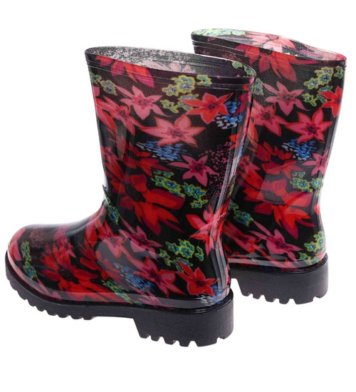 Kolorowe kalosze gumiaki damskie /B1-1 18070 T400/