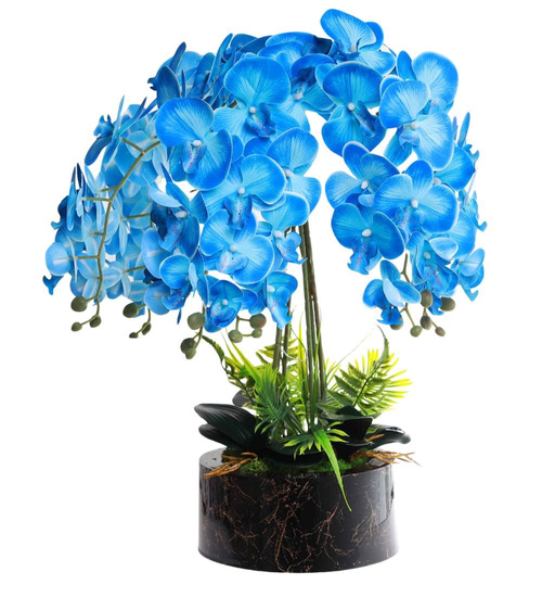 Niebieski storczyk orchidea Premium 6 pędów 65 cm K98