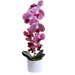 Fioletowy storczyk orchidea Kompozycja kwiatowa 1 Pęd 55 cm KOMp63 S240