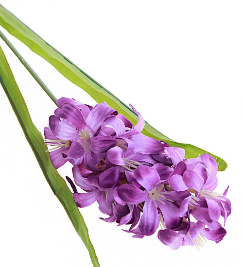 Kwiat Hiacynt jak żywy  /KW18 LOK H2 K003/