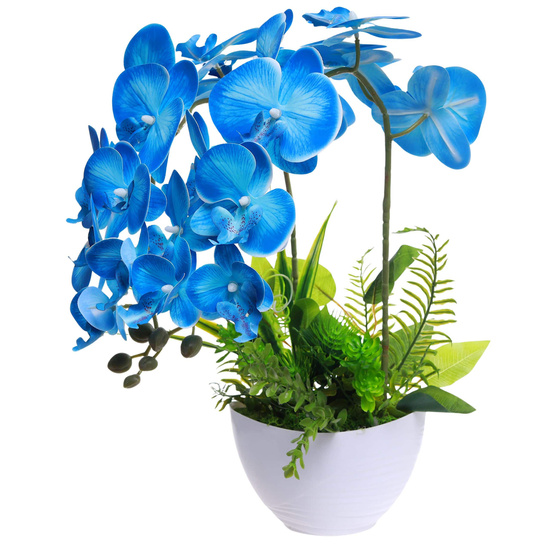 Niebieski storczyk orchidea Kompozycja kwiatowa 2 Pędowy 50 cm KOMp92 S340