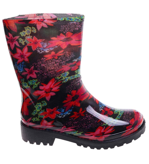 Kolorowe kalosze gumiaki damskie /B1-1 18070 T400/