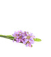 Kwiat Hiacynt jak żywy Fioletowy /KW17 LOK H2 K003/