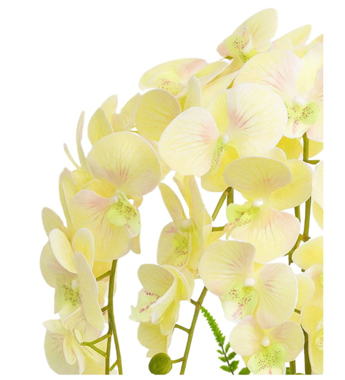 Żółty storczyk orchidea Premium 6 pędów 65 cm K119