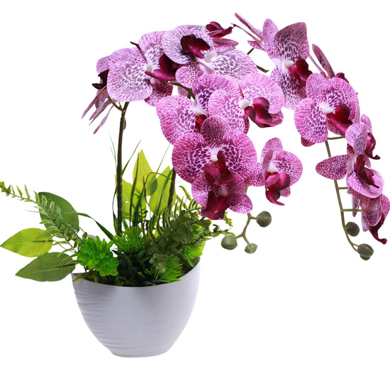 Fioletowy storczyk orchidea Kompozycja kwiatowa 2 Pędowy 50 cm KOMp89 S340