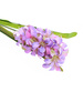 Kwiat Hiacynt jak żywy Fioletowy /KW17 LOK H2 K003/