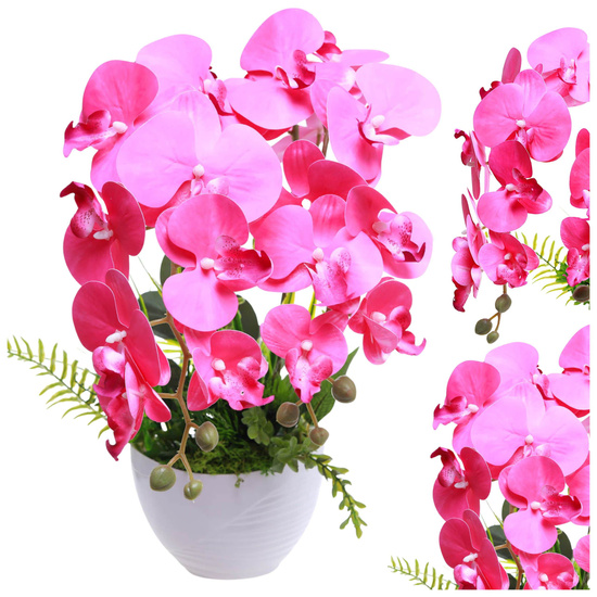 Różowy storczyk orchidea Kompozycja kwiatowa 2 Pędowy 50 cm KOMp90 S340