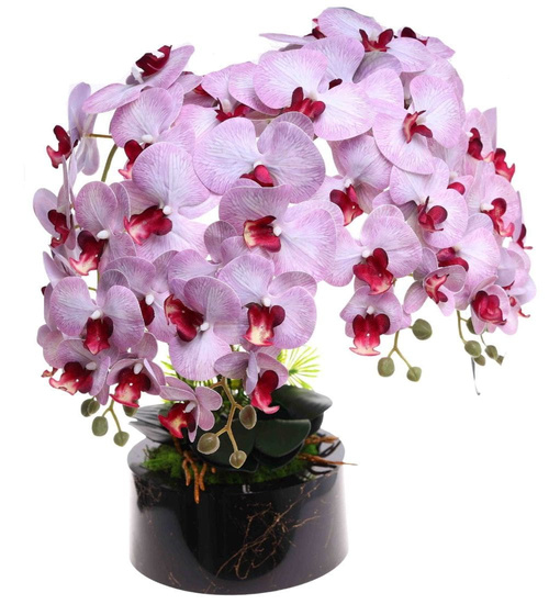 Fioletowo biały storczyk orchidea Premium 6 pędów 65 cm K118
