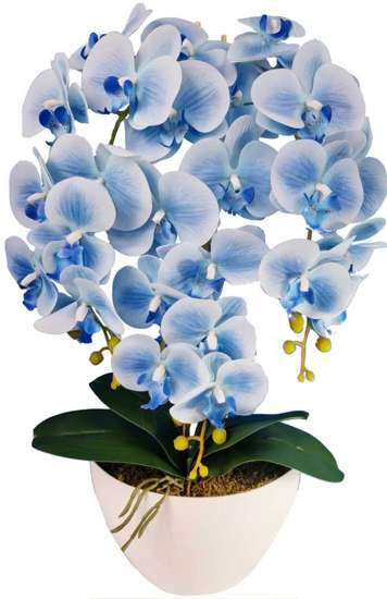 Błękitny storczyk orchidea- sztuczne kwiaty 60 cm 3pgnv