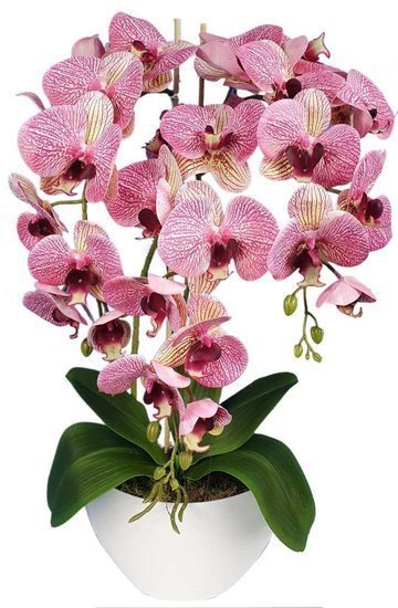 Sztuczny storczyk orchidea- kompozycja kwiatowa 60 cm 3PGRK2