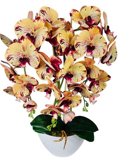 Żółto różowe storczyk orchidea sztuczne kwiaty 60 cm 3pgfkr